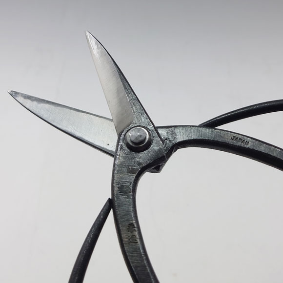 thumbnail image 2 of Kaneshin Air Layering Scissors – 170mm (6.6in) Bonsai Tool #121, Made In Japan 2 of 4