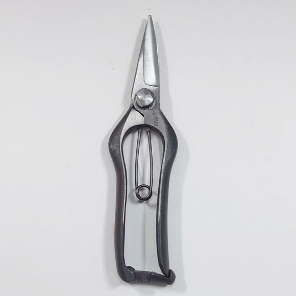 Bud cutting scissors - Single edge - (TOBISHOU) "Length 185mm " No.6501