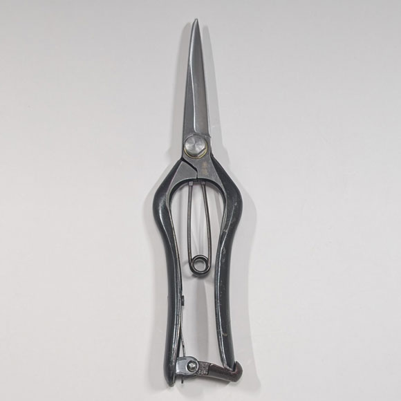 Bud cutting scissors - Single edge - (KANESHIN) "Length 200mm " No.95F