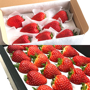 非凡新鲜果香 当造士多啤梨2款组合