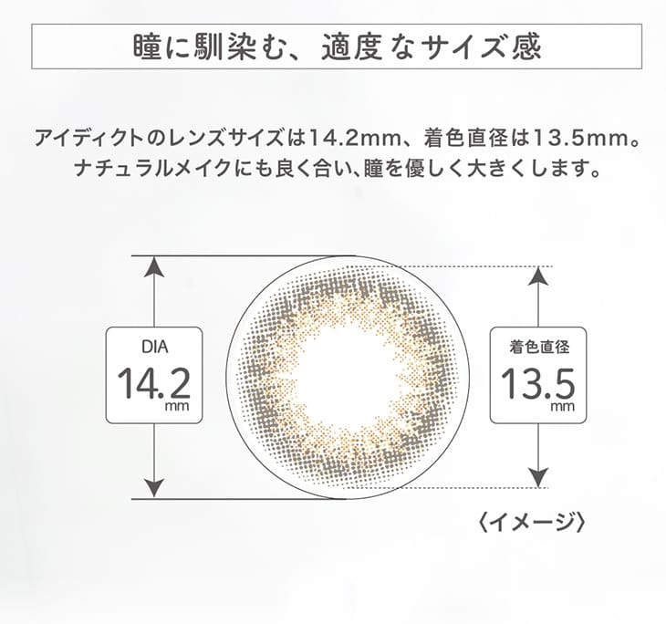 加拿大直郵 內田理央 日拋美瞳 EYEDDICT #2 Winter Leaf 10枚