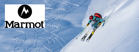 Marmot