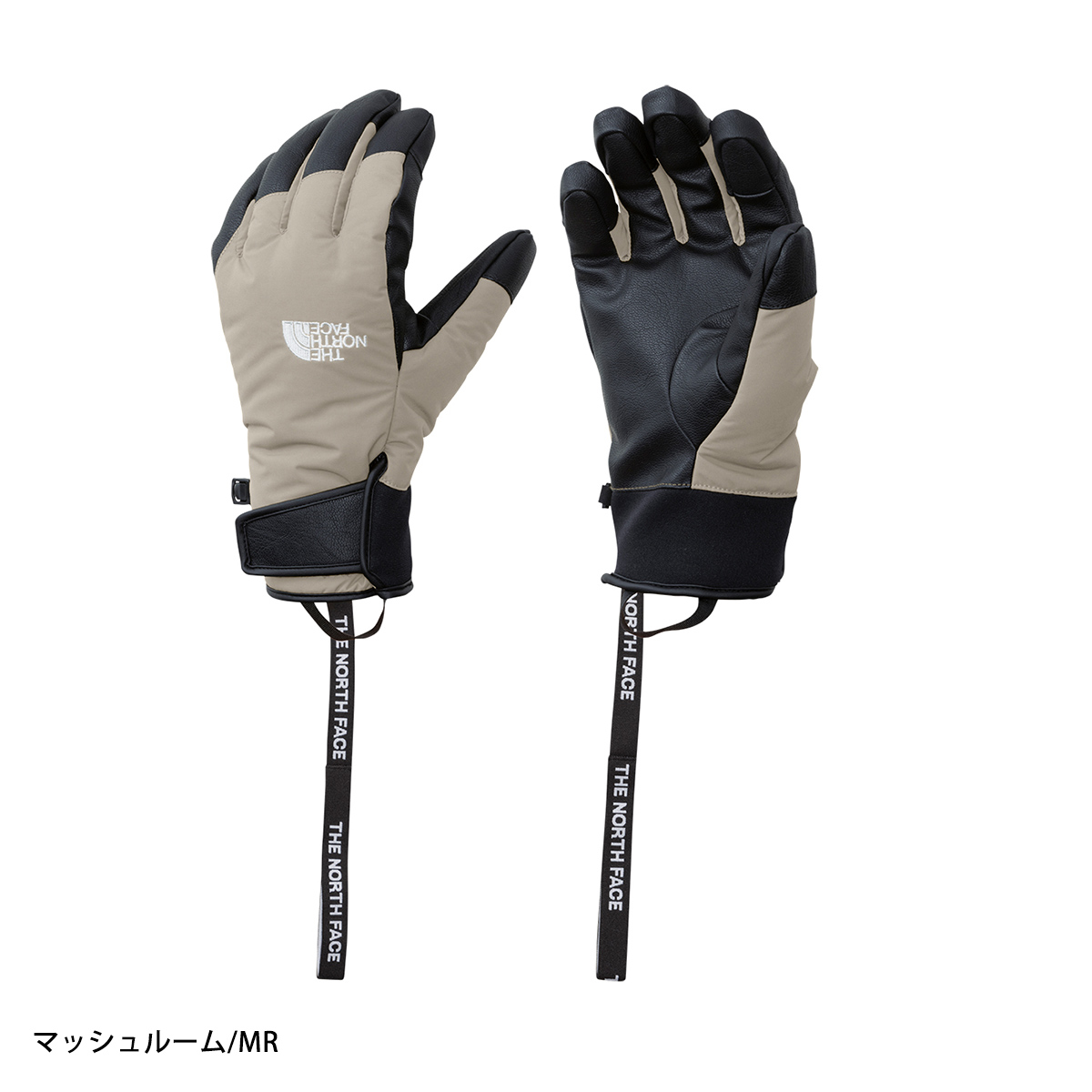 THENORTHFACE〔Ski Gloves〕＜2026＞NN62513 / FAKIE GLOVE - Ski Shop