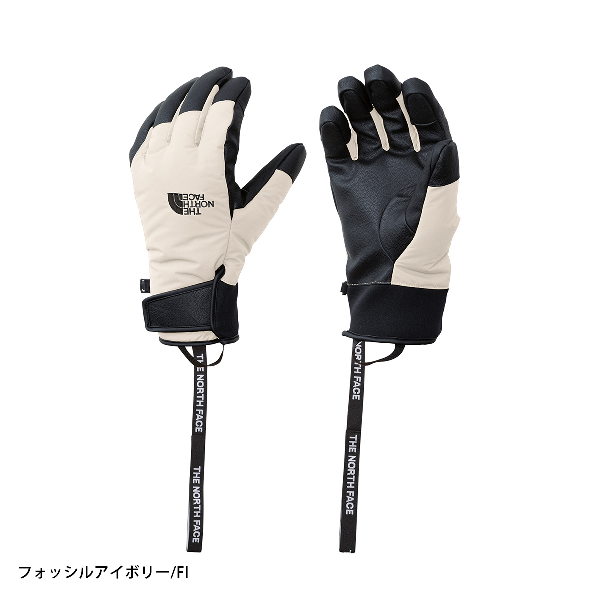 THENORTHFACE〔Ski Gloves〕＜2026＞NN62513 / FAKIE GLOVE - Ski Shop