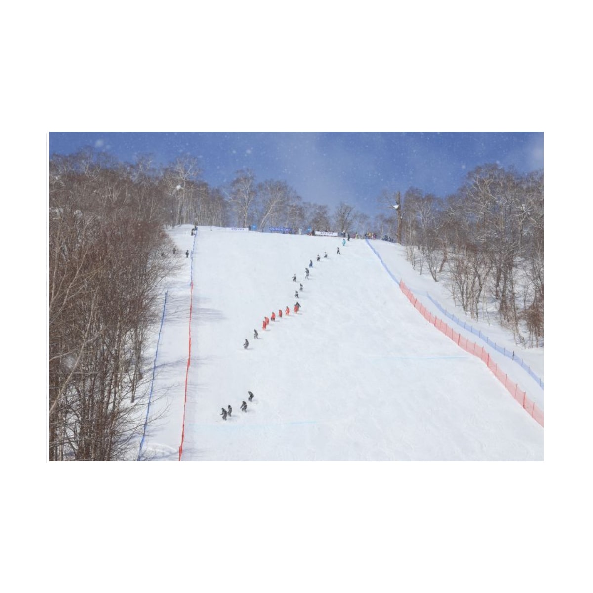 技術選2025 第62回全日本ｽｷｰ技術選手権大会 - 滑雪用品店 - 日本品牌