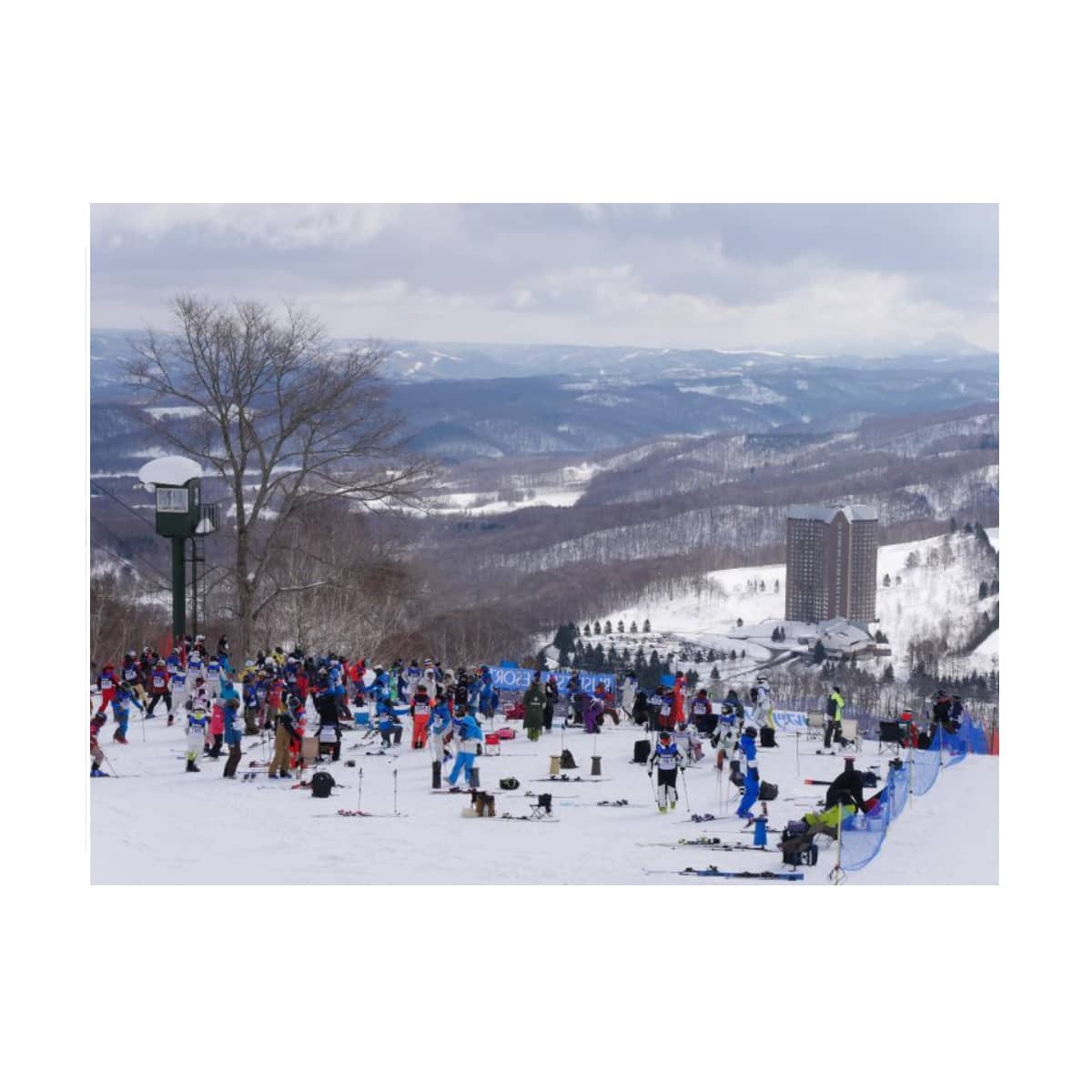 技術選2025 第62回全日本ｽｷｰ技術選手権大会 - 滑雪用品店 - 日本品牌