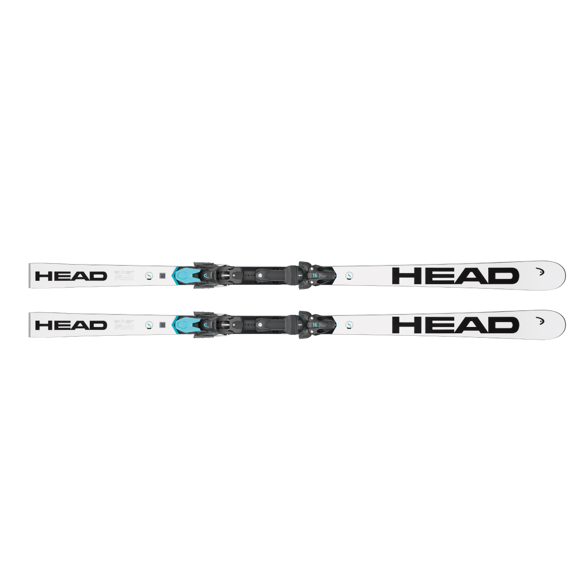 【★安心の定価販売★】 RD E-GS REBELS WORLDCUP HEAD + + short 14 WCR Plate Race スキー