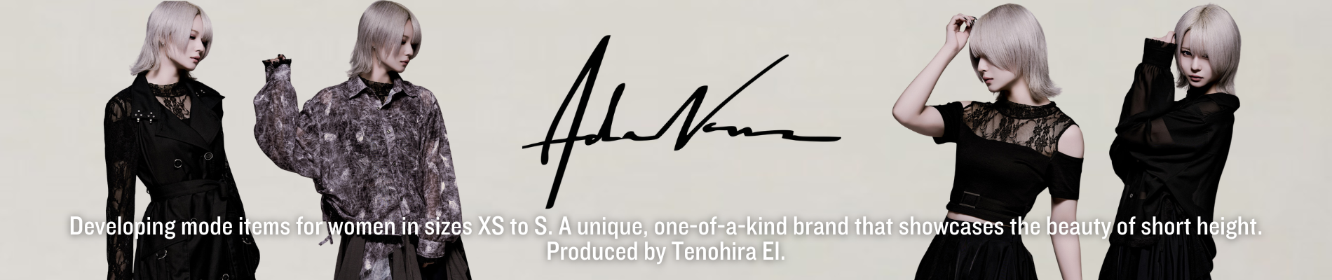 AdaNous