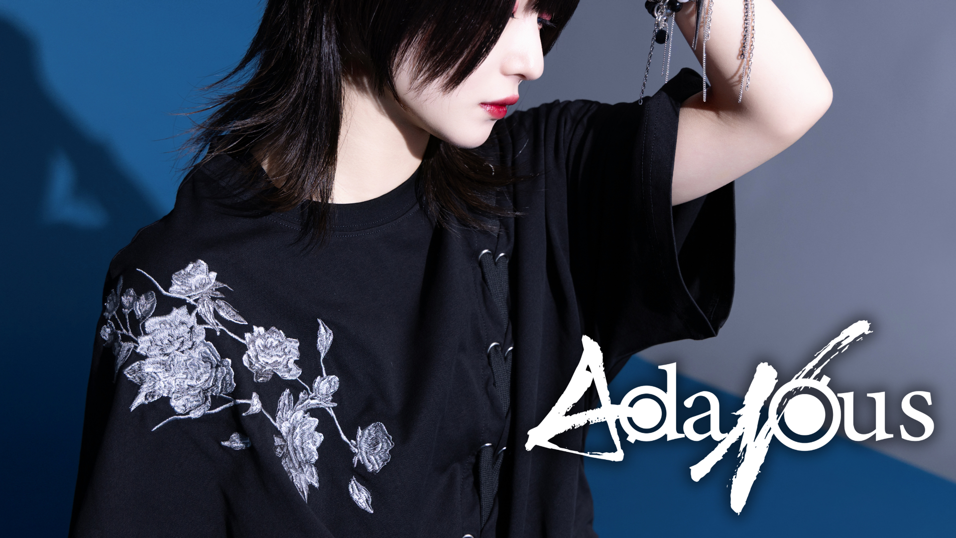 AdaNous