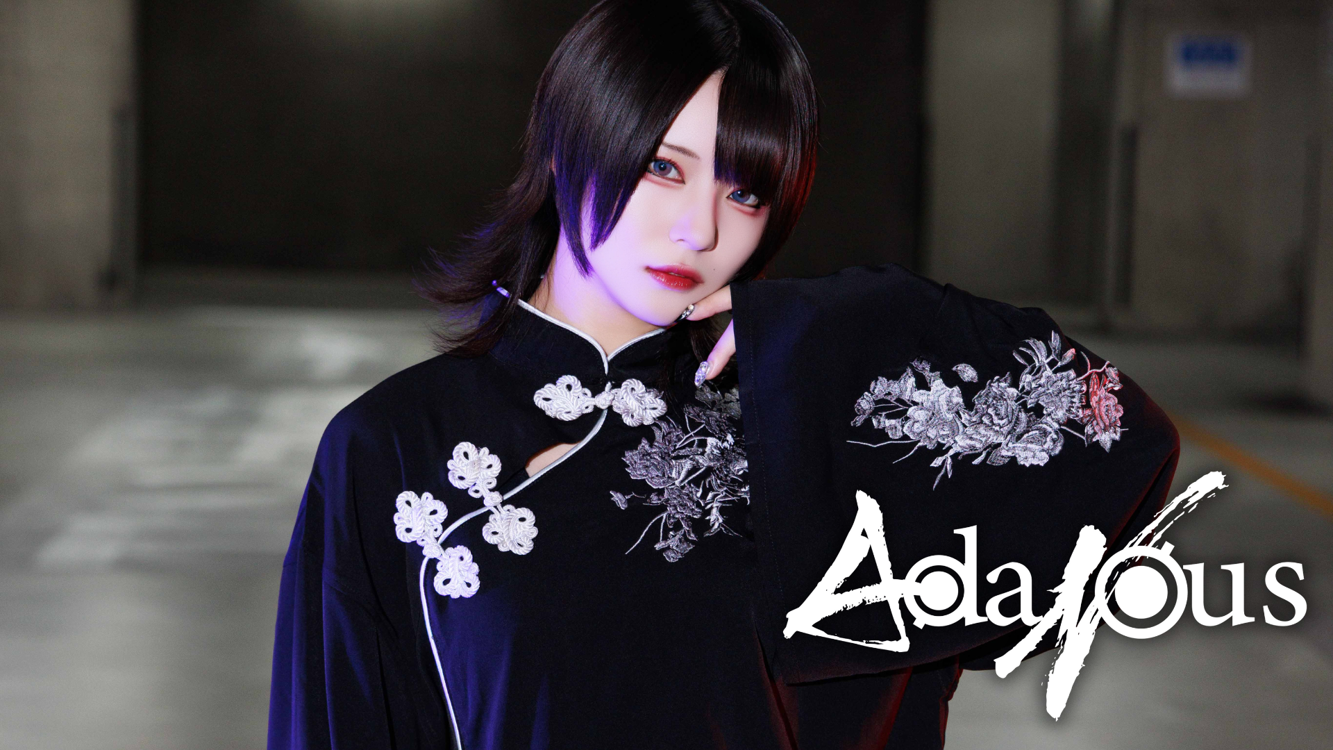 AdaNous