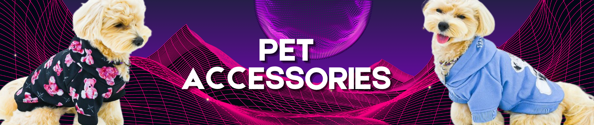 Pet Accessories